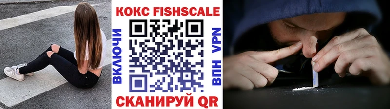 COCAIN FishScale  нарко площадка формула  Ртищево  где продают  