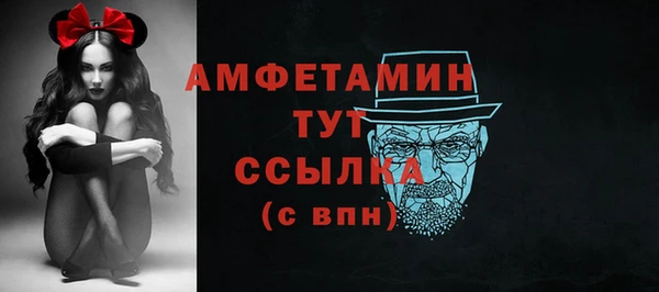 соль ск Няндома